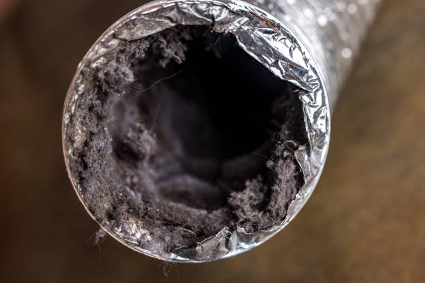 Best Affordable HVAC Duct Cleaning  in Mesa, AZ