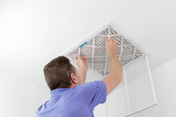 Best Home Air Vent Cleaning  in Mesa, AZ